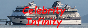 celebrity infinity