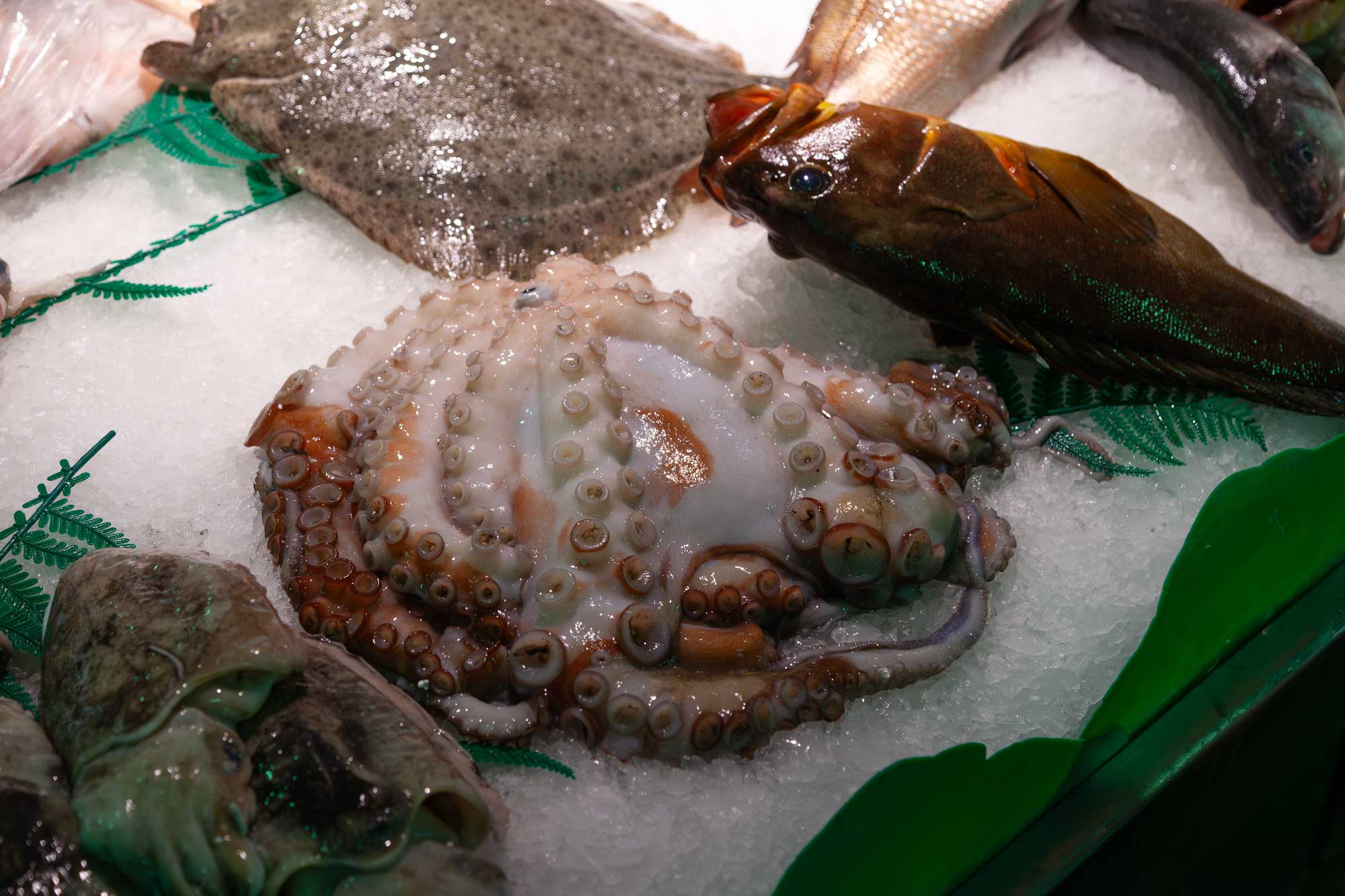 mercat de la boqueria
