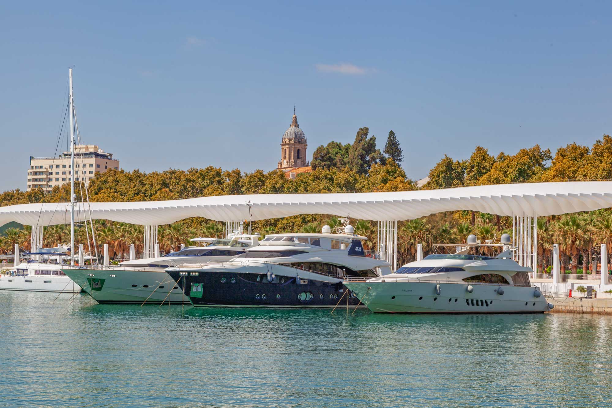 boats in the harbour