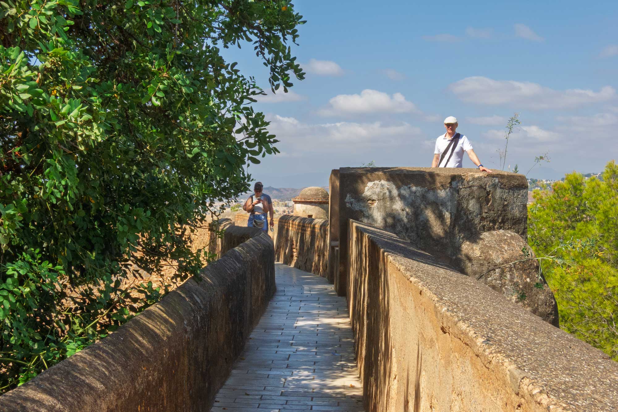 view from Castillo de Gibralfaro