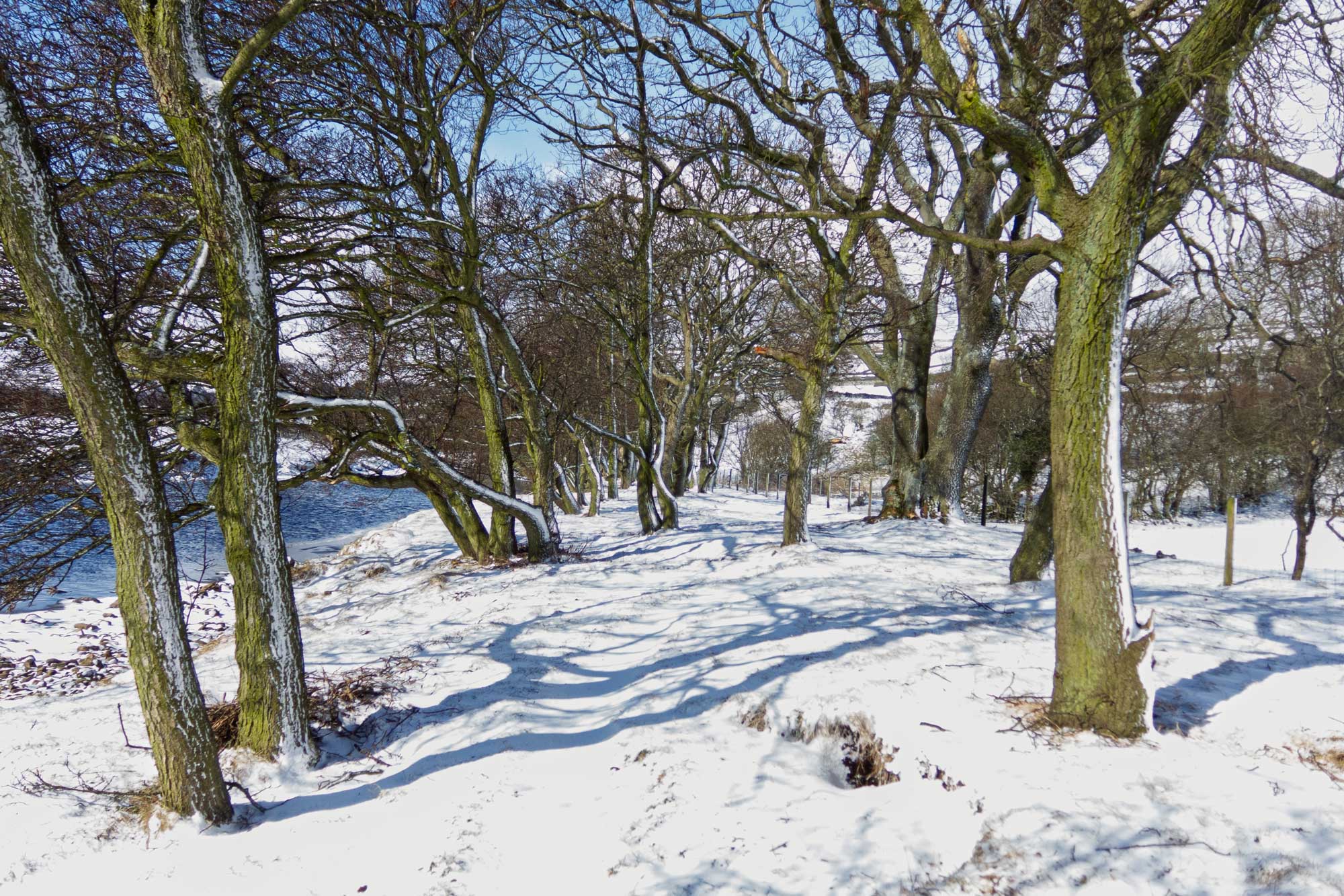 reeth march 2013
