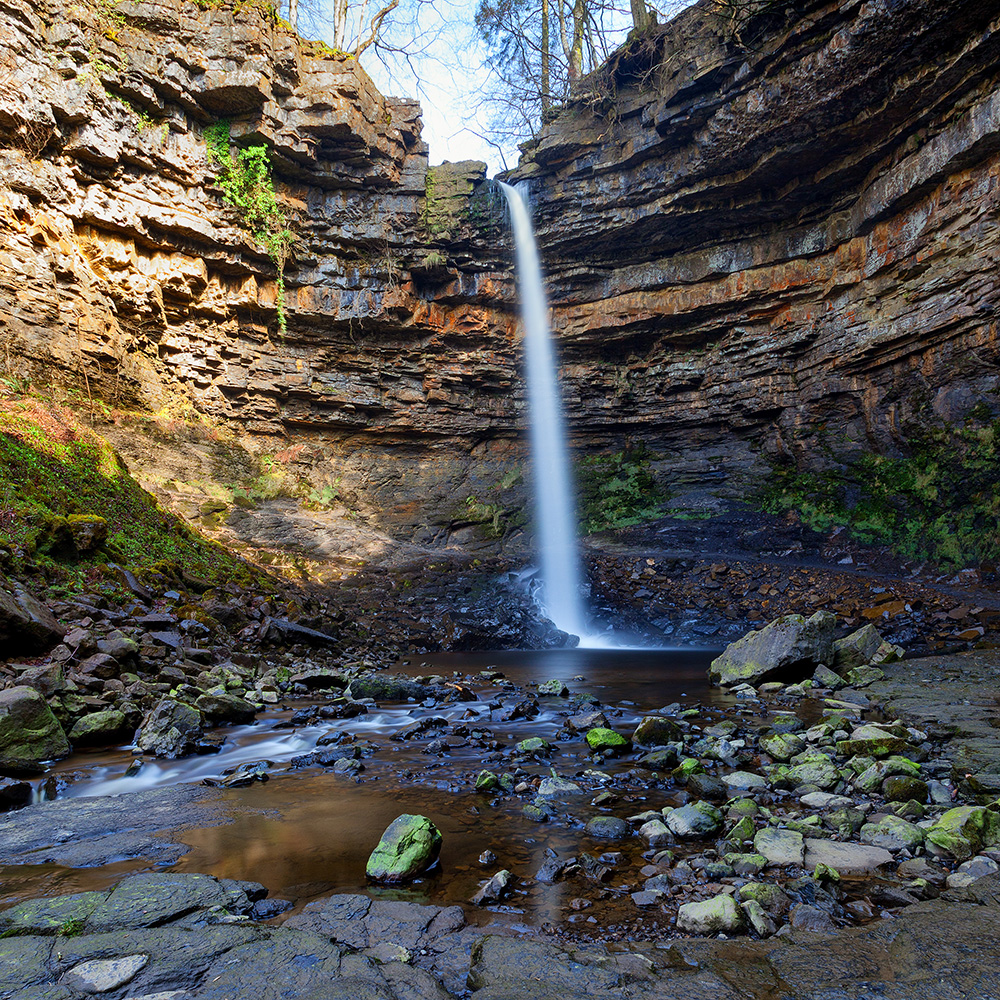 hardraw force