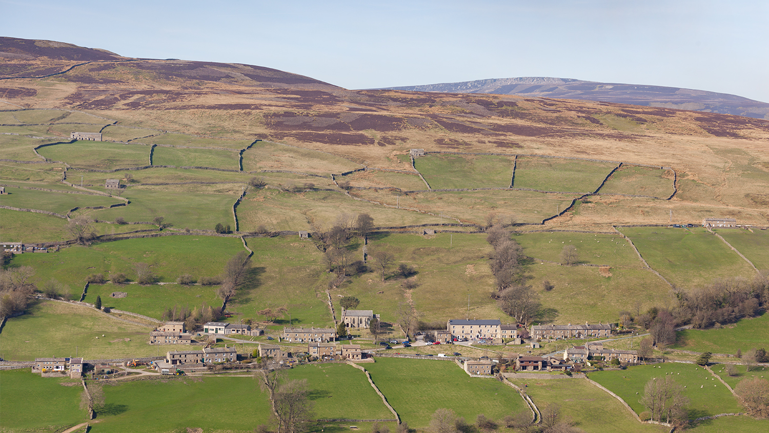 brownsey moor