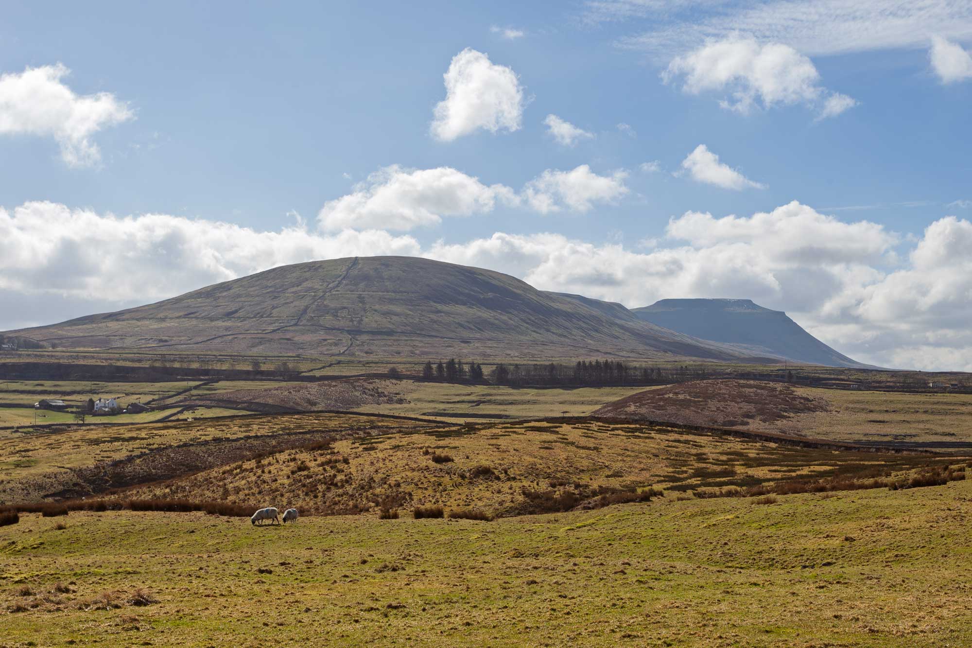 view of Ingleborough