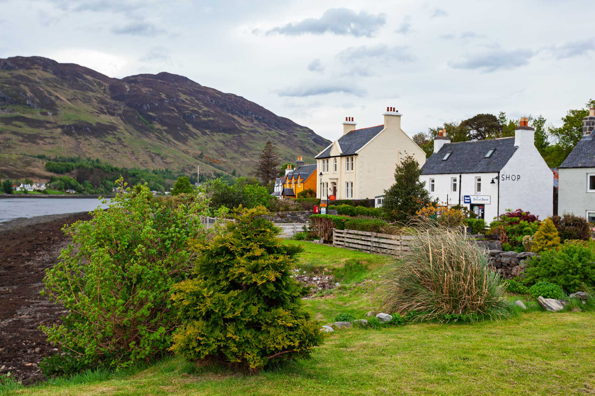 dornie