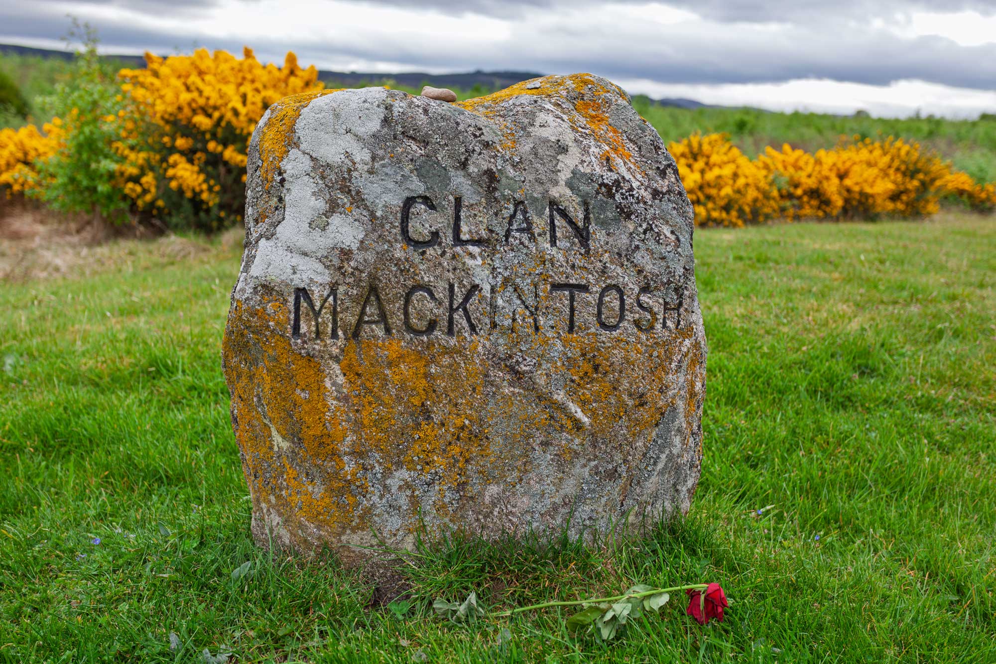 Culloden