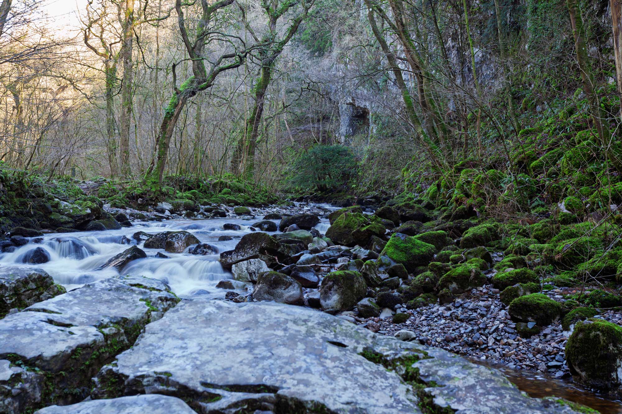 Ingleton