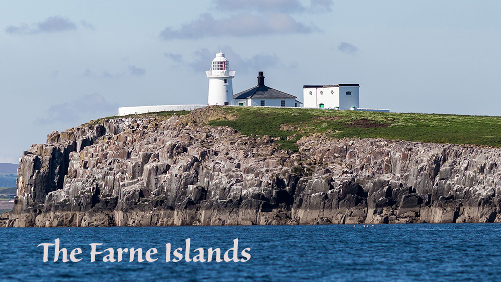 farne islands