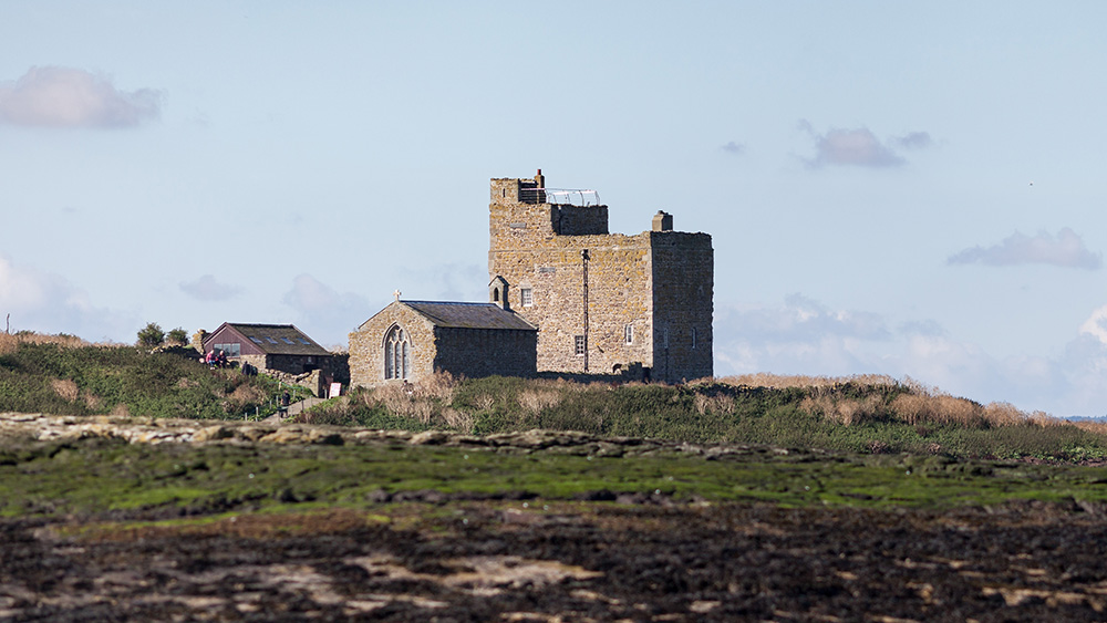 farne islands