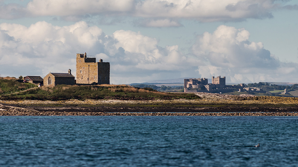 farne islands and bamburgh castle