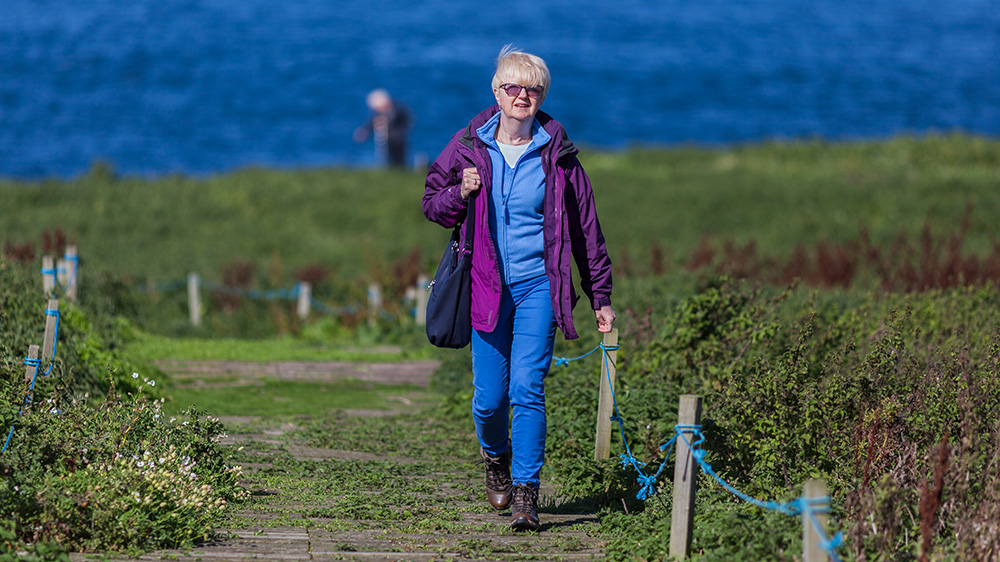 pat on the farne islands