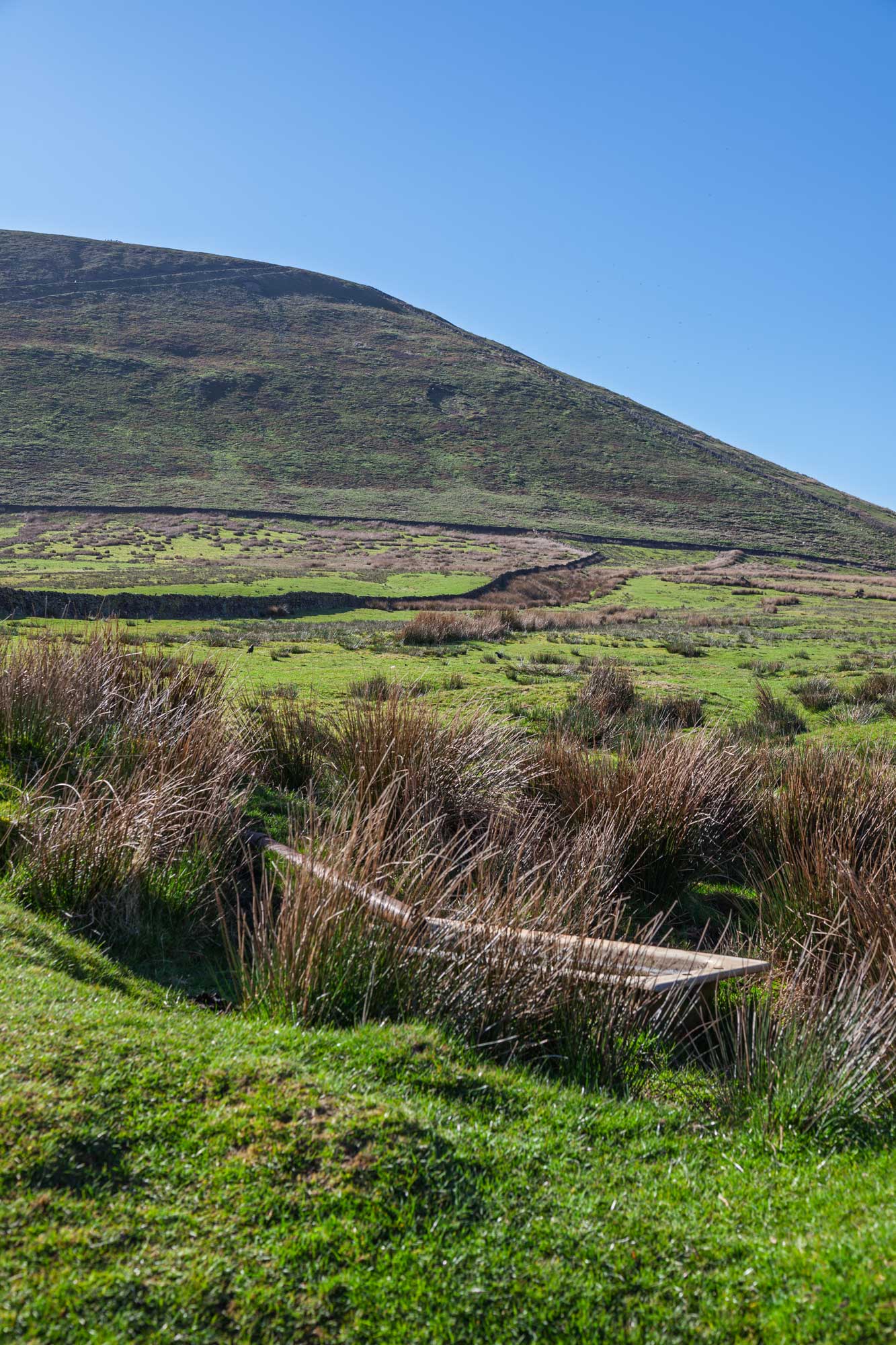 looking up from the bottom of pendle hill