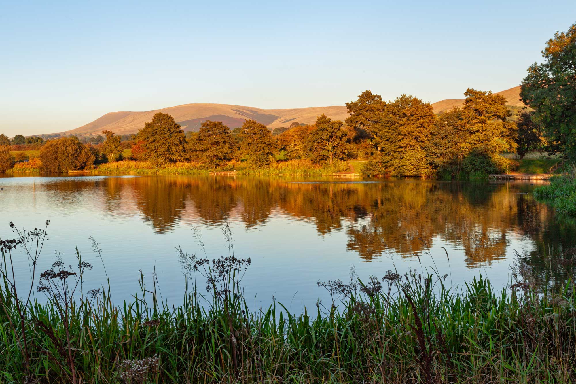 pendle hill as viewed from the fisheries