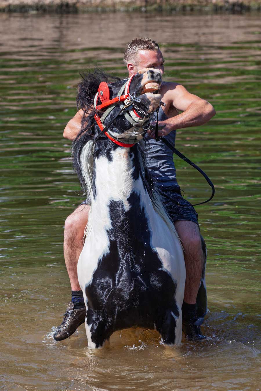 appleby horse fair