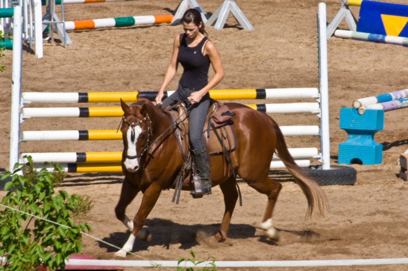 horseridingreitstallfendel.jpg