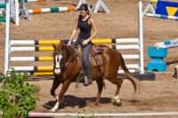 horseridingreitstallfendel_small.jpg